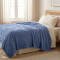Manta Solteirão Casal 240 Gramas 1,80m x 2,40m Jacquard C/ Sherpa Velvet Borboletas - Azul