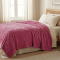 Manta Solteirão Casal 240 Gramas 1,80m x 2,40m Jacquard C/ Sherpa Velvet Borboletas - Pink