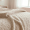 Manta Solteiro 2,20m x 1,60m Plush Texturada em Alto Relevo - Poa Bege