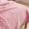 Manta Solteiro 2,20m x 1,60m Plush Texturada em Alto Relevo - Poa Rosa