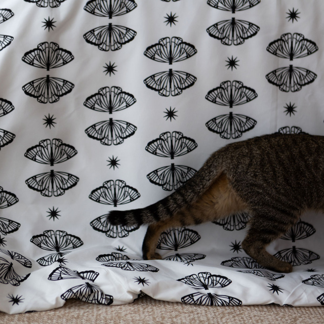 Capa de Edredom (Duvet) Dupla Face 200 Fios Solteiro Jazz Estampado Borboleta Boho - Marina