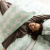 Capa de edredom (Duvet) King Percalle Estampado Percal 200 fios 100% Algodão - Scale Menta
