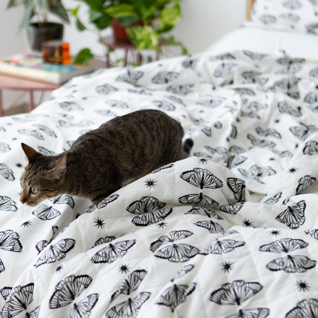 Cobre leito 200 Fios Estampado King 3 Peças Jazz Borboleta Boho - Marina