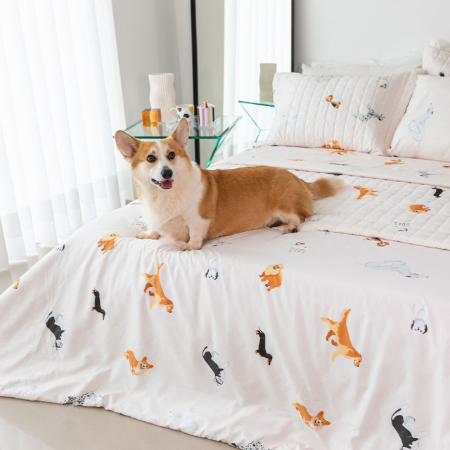 Cobre leito 200 Fios Solteiro 2 peças Jazz Estampado Cachorrinhos - Marina