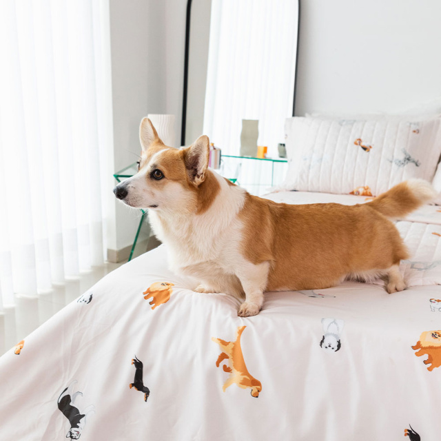 Cobre leito 200 Fios Solteiro 2 peças Jazz Estampado Cachorrinhos - Marina