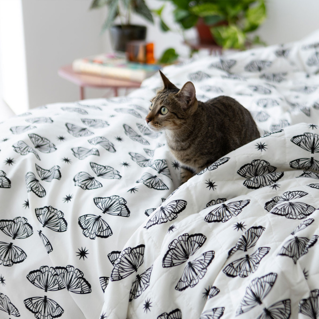 Edredom Casal Padrão 200 Fios Dupla Face (Capa Duvet + Refil) Jazz Estampado Borboleta Boho - Marina