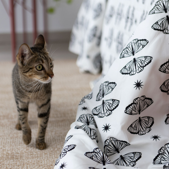 Edredom Queen 200 Fios Dupla Face (Capa Duvet + Refil) Jazz Estampado Borboleta Boho - Marina