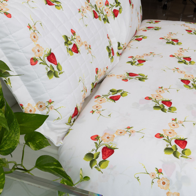 Jogo de lençol 200 Fios Casal Padrão 4 peças Jazz Estampado Flor de Morango - Marina