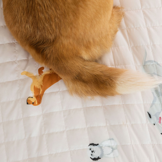 Jogo de lençol 200 Fios Queen 4 peças Jazz Estampado Cachorrinhos - Marina