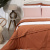Edredom Queen Liso 100% Algodão Percal 200 fios Dupla Face com vivo Colorlife (Capa Duvet + Refil) Rosê - Marina