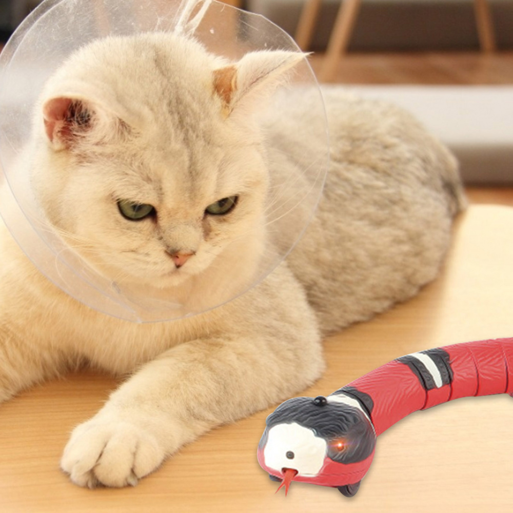Gato automático brinquedos interativo inteligente detecção cobra teasetoys  para gatos carregamento usb acessórios do gato para
