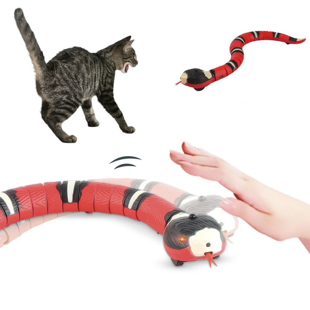 Gato Engraçado Interativo Teaser Brinquedo De Treinamento Criativo Gatinhos  Mini Bambu-helicóptero Jogos Brinquedos Para Animais De Estimação  Suprimentos Acessórios Brinquedos Para Gato - Brinquedos Para Gatos -  AliExpress