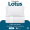 Cobre Leito Casal Lotus 400 Fios Bordado Branco 3 Peças com Porta-Travesseiros