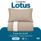 Cobre Leito Solteiro Lotus 400 Fios Bordado Bege 2 Peças com Porta-Travesseiro