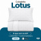 Cobre Leito Solteiro Lotus 400 Fios Bordado Branco 2 Peças com Porta-Travesseiro