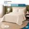 Colcha Cobre Leito King Basic Micropercal 400 Fios Matelado com 2 Porta-Travesseiros - Marfim