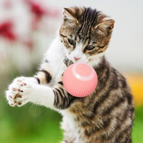 brinquedo-interativo-inteligente-bola-automatica-para-pet-carregamento-usb-6720385f8cca8-thumb.jpg