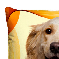 Almofada + Capa 40cm x 40cm Microfibra Estampada Com Imagem do Cachorro Golden Ref. A401