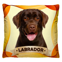 Almofada + Capa 40cm x 40cm Microfibra Estampada Com Imagem do Cachorro Labrador Ref. A402
