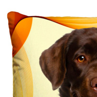 Almofada + Capa 40cm x 40cm Microfibra Estampada Com Imagem do Cachorro Labrador Ref. A402