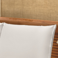Jogo De Cama Casal Queen Liso 03 Peças Tecido Microfibra Bianca - Branco
