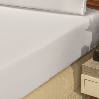 Jogo De Cama Casal Queen Liso 03 Peças Tecido Microfibra Bianca - Branco