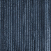 Manta Microfibra Velvet Bariloche Queen 2,40m X 2,20m Com Toque Aveludado - Azul