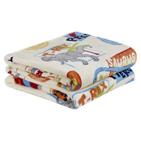 Manta Solteiro 2,20m X 1,50m Microfibra Bouti Kids - Dino