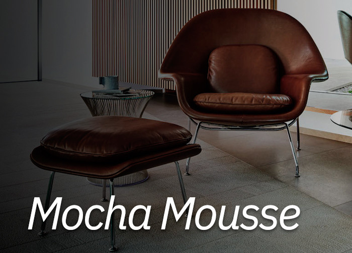 Pantone 2025: Mocha Mousse