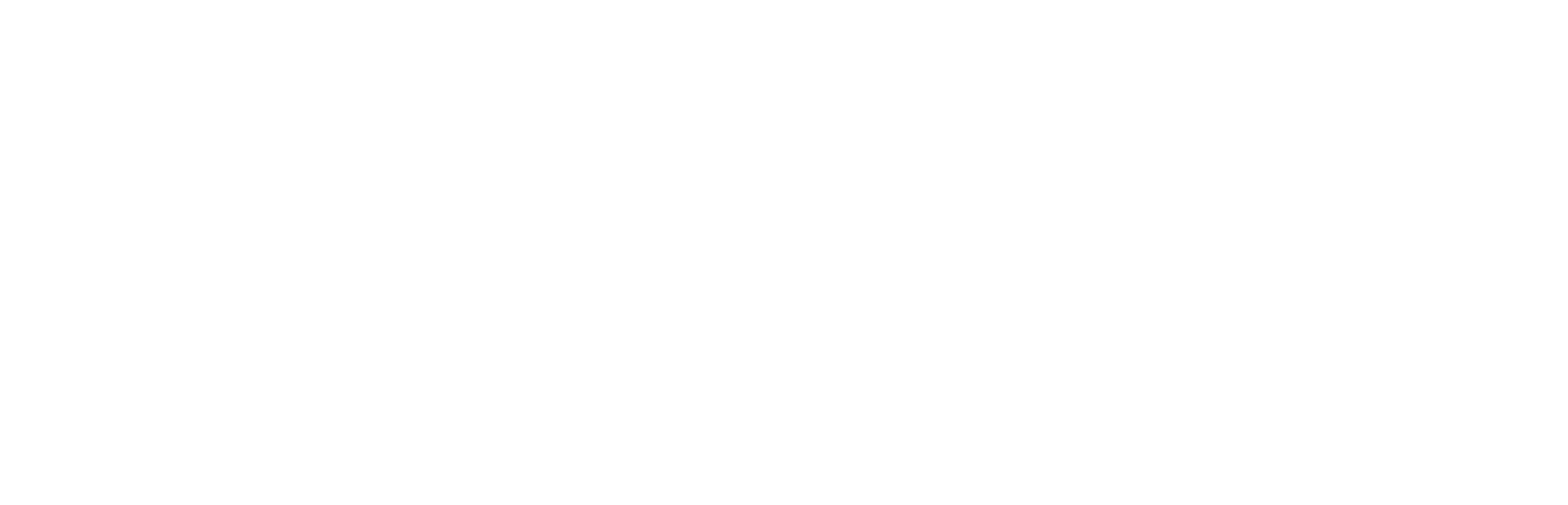 EXIMIA INDUSTRIAL LTDA