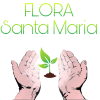 Flora Santa Maria