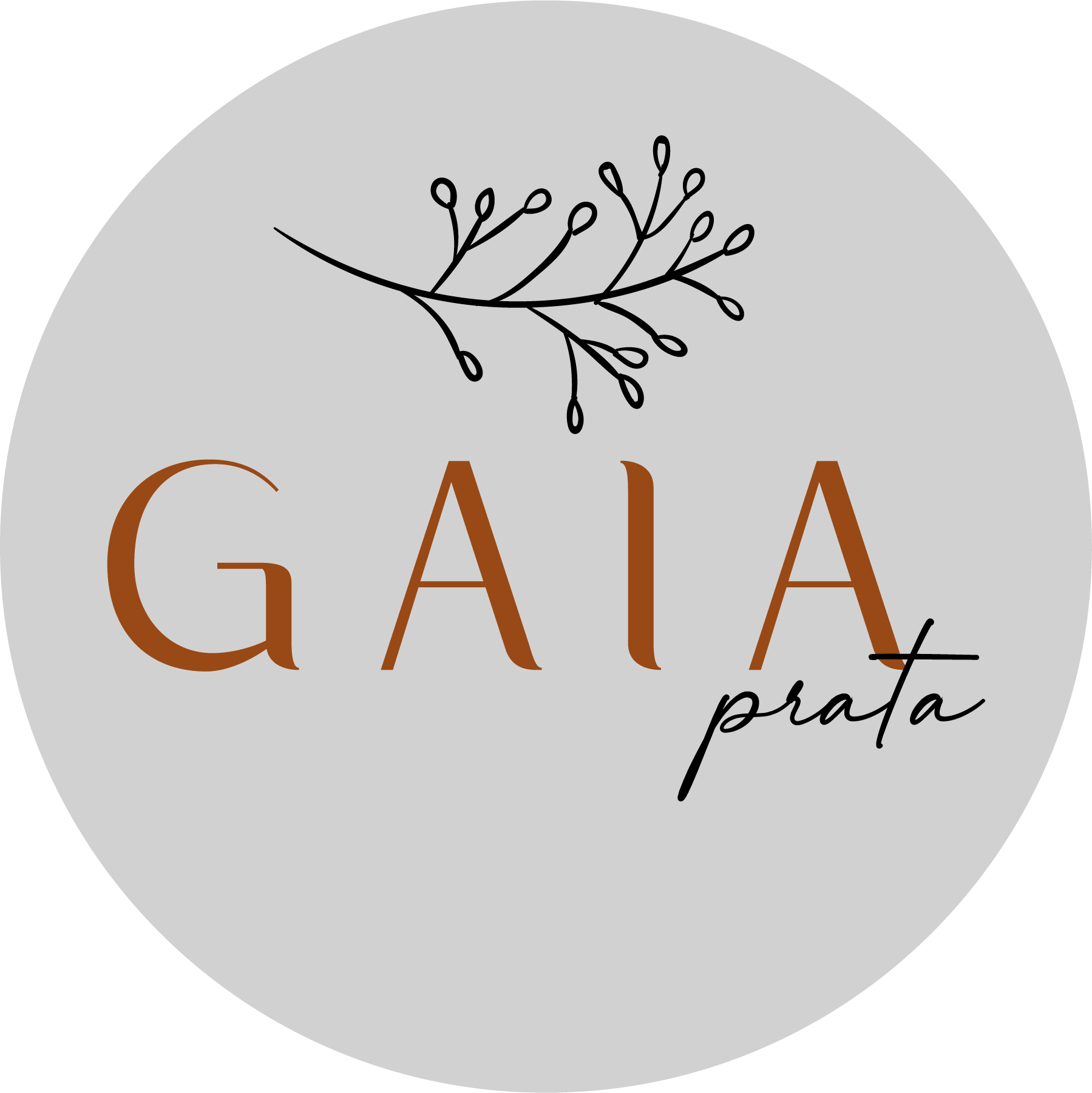 GAIA COMERCIO DE JOIAS LTDA