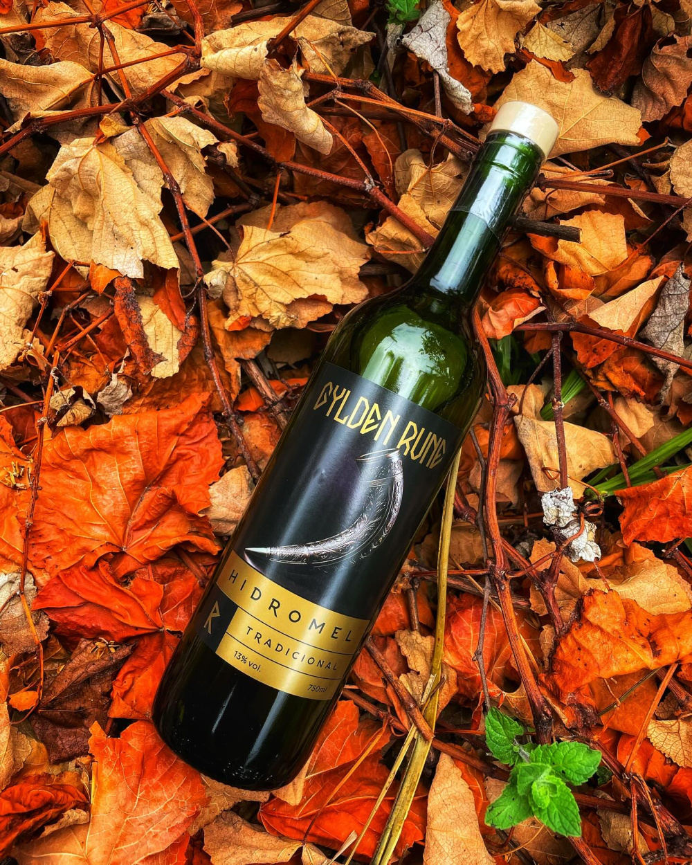 Garrafa de Hidromel Tradicional 750 ml