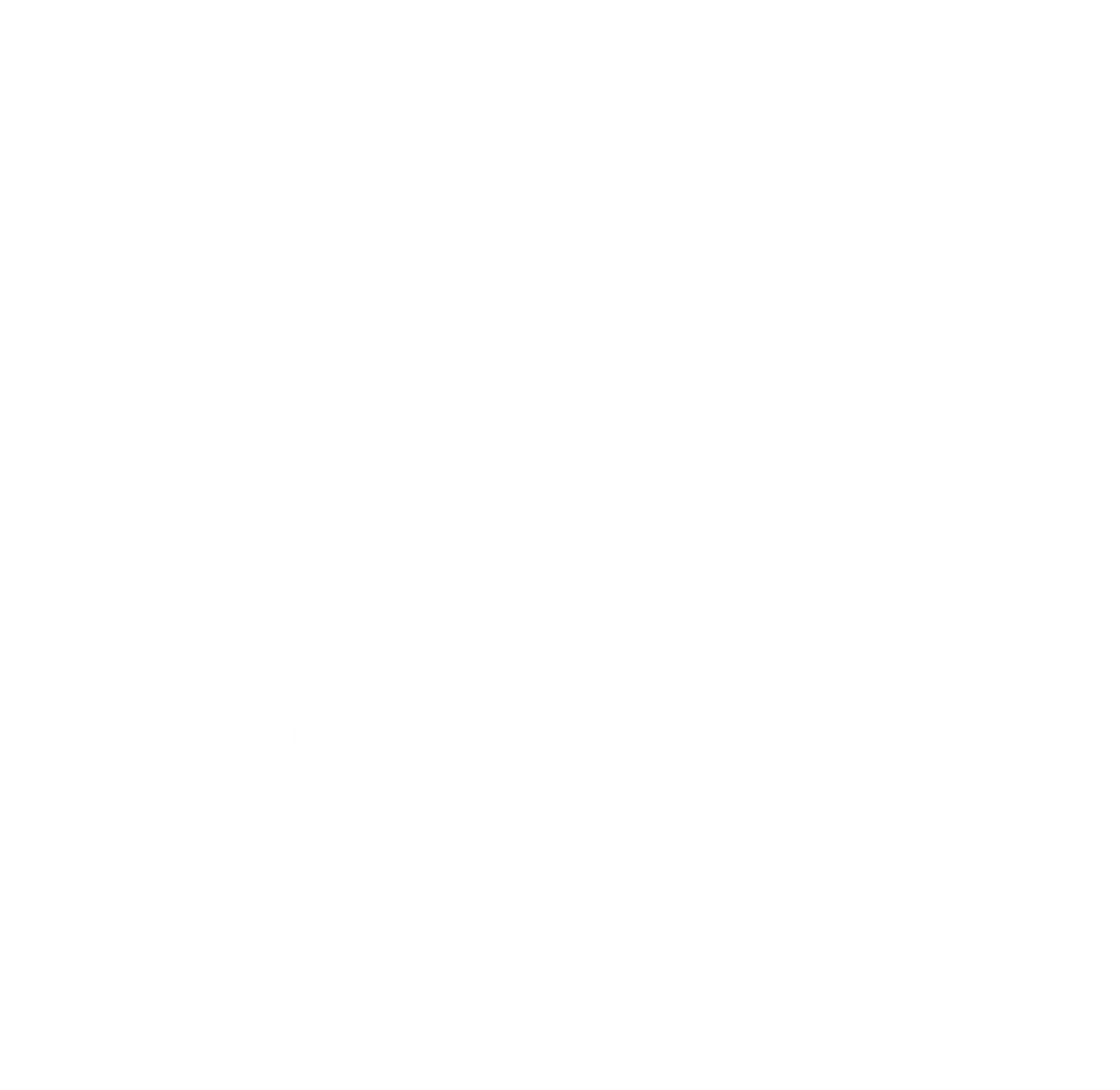 JOÃO HENRIQUE SOUZA CONDADO DE MATOS