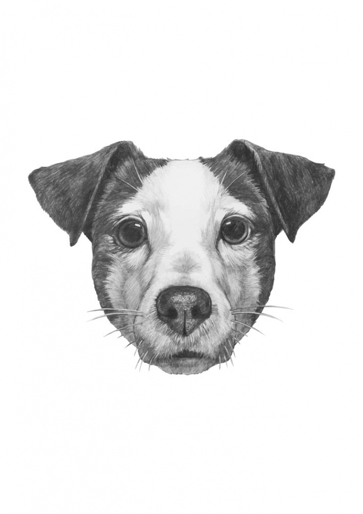 Quadro Amor Dog - Kit 2 de Quadros