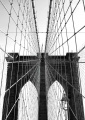 Tela Canvas Brooklyn Bridge Park Top Nova York