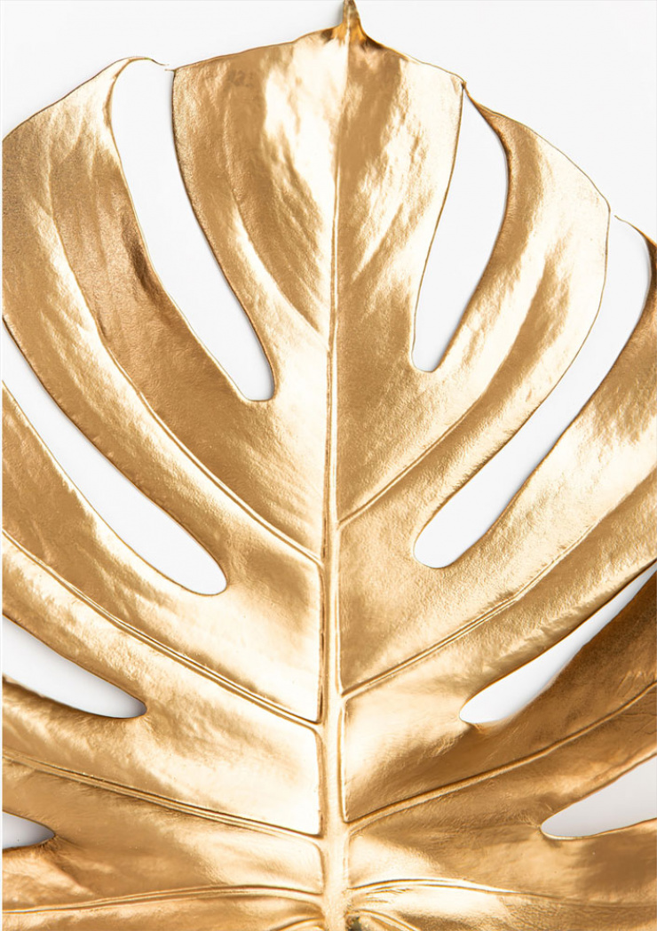 Quadro Costela de Adão Dourada - KOLOR - A Sua Loja De Quadros Online