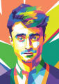Quadro  Daniel Radcliffe Harry Potter