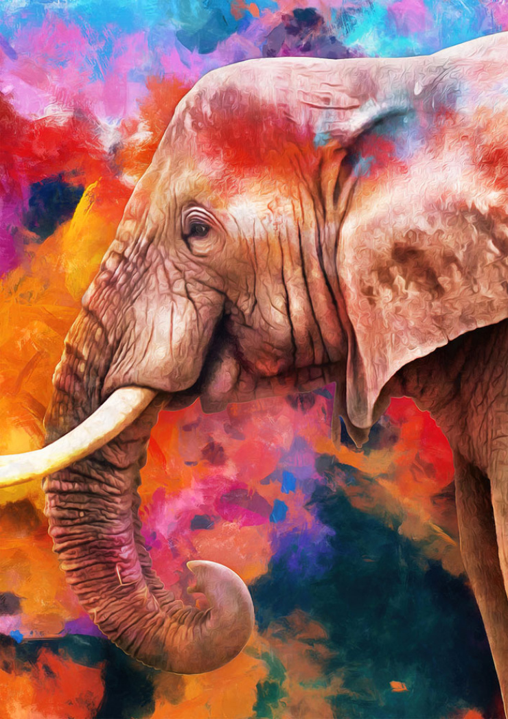 Tela Canvas Elefante Power