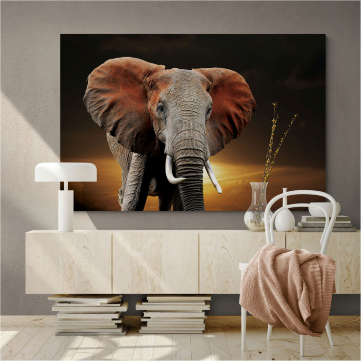 Tela Canvas Elefante Safira