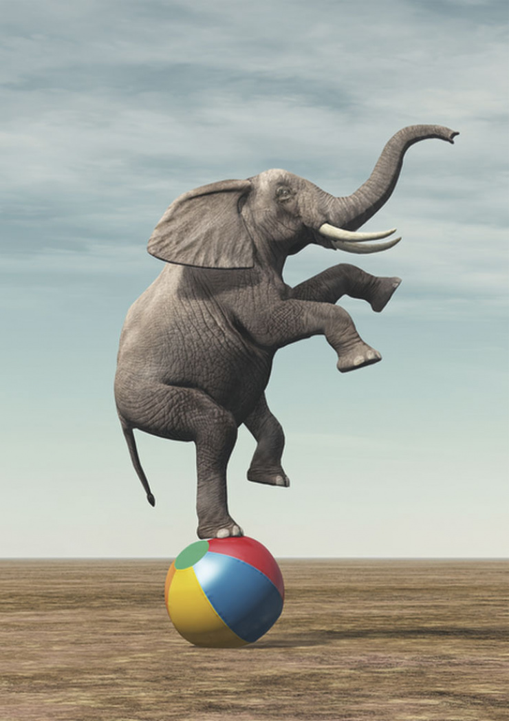 Quadro Elephant Ball