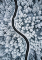 Quadro Estrada em Nevasca