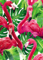 Quadro Flamingos