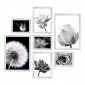Quadro Floral - Kit de 7 quadros