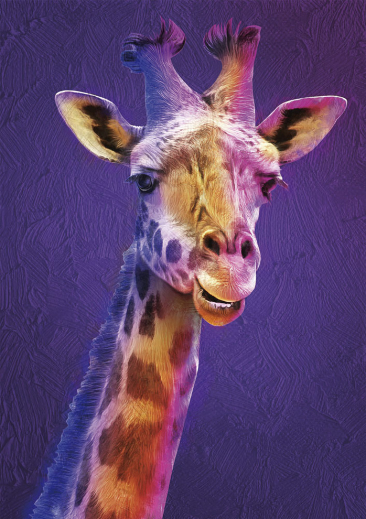 Quadro Giraffes Colors