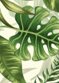 Quadro Palmeira Tropical - Kit de 3 Quadros