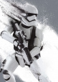 Quadro Stormtrooper Star Wars