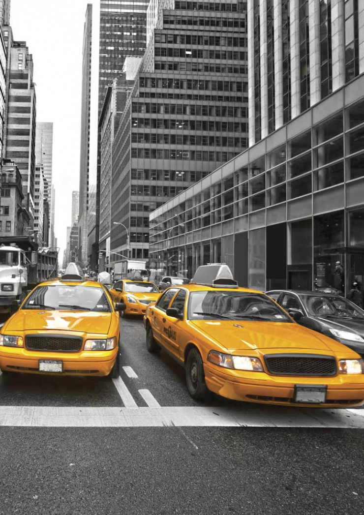 Quadro Taxis Nova York