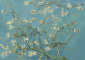 Tela Canvas Van Gogh Amendoeira Flor