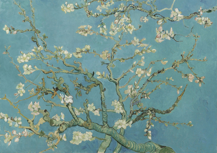 Quadro Van Gogh Amodeira Flor
